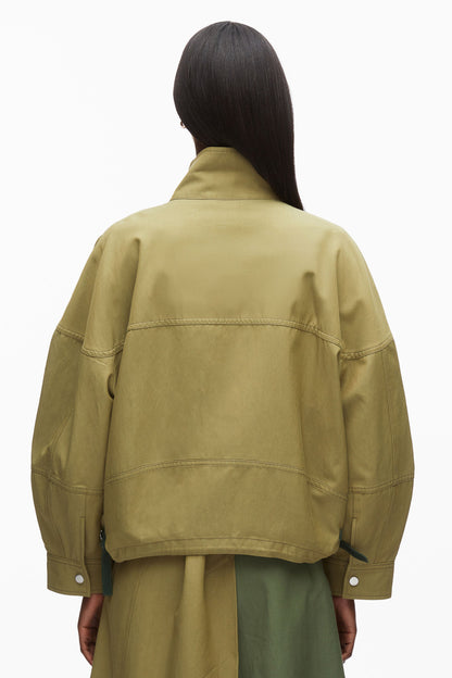 #color_olive